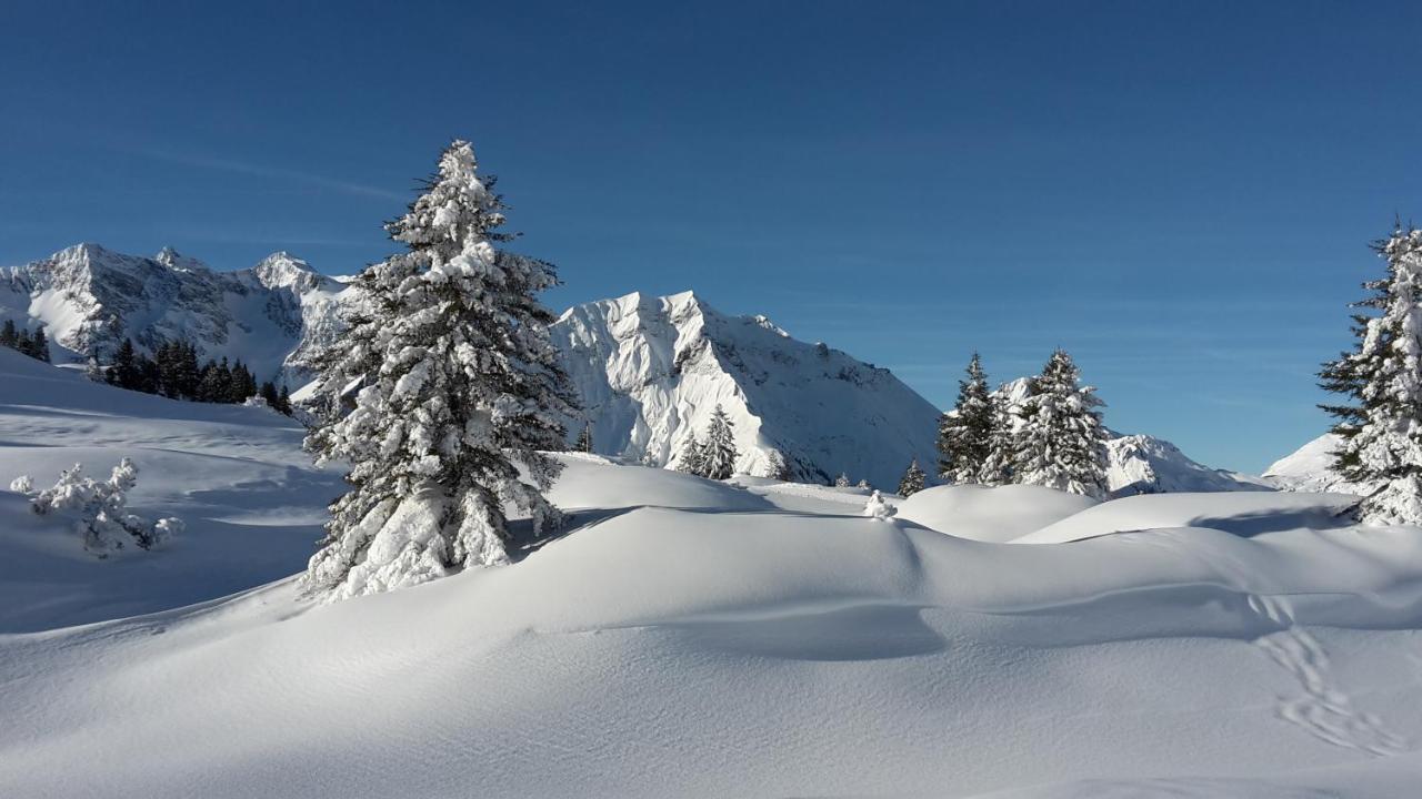 Landhaus Marion Holzgau Dış mekan fotoğraf