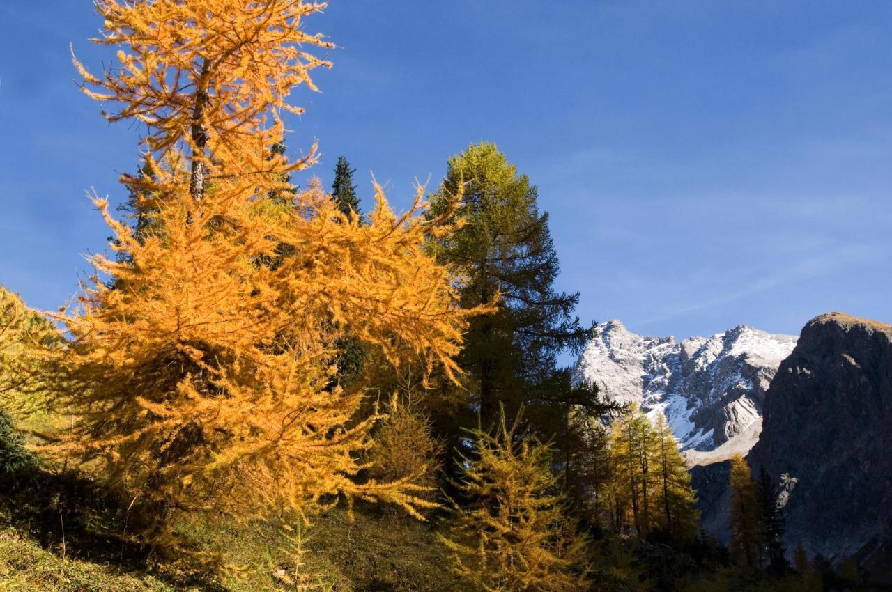 Landhaus Marion Holzgau Dış mekan fotoğraf